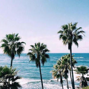 Meet your Posher, Kaitlyn